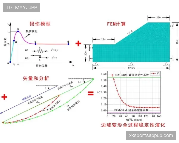 贝尔纳多作为组织核心的稳定性与作用机制分析